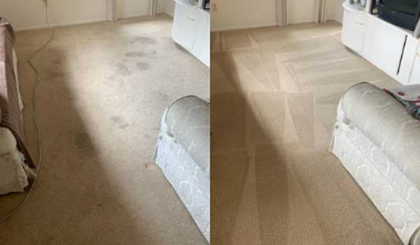 Carpet Cleaning Services in Palm Harbor FL